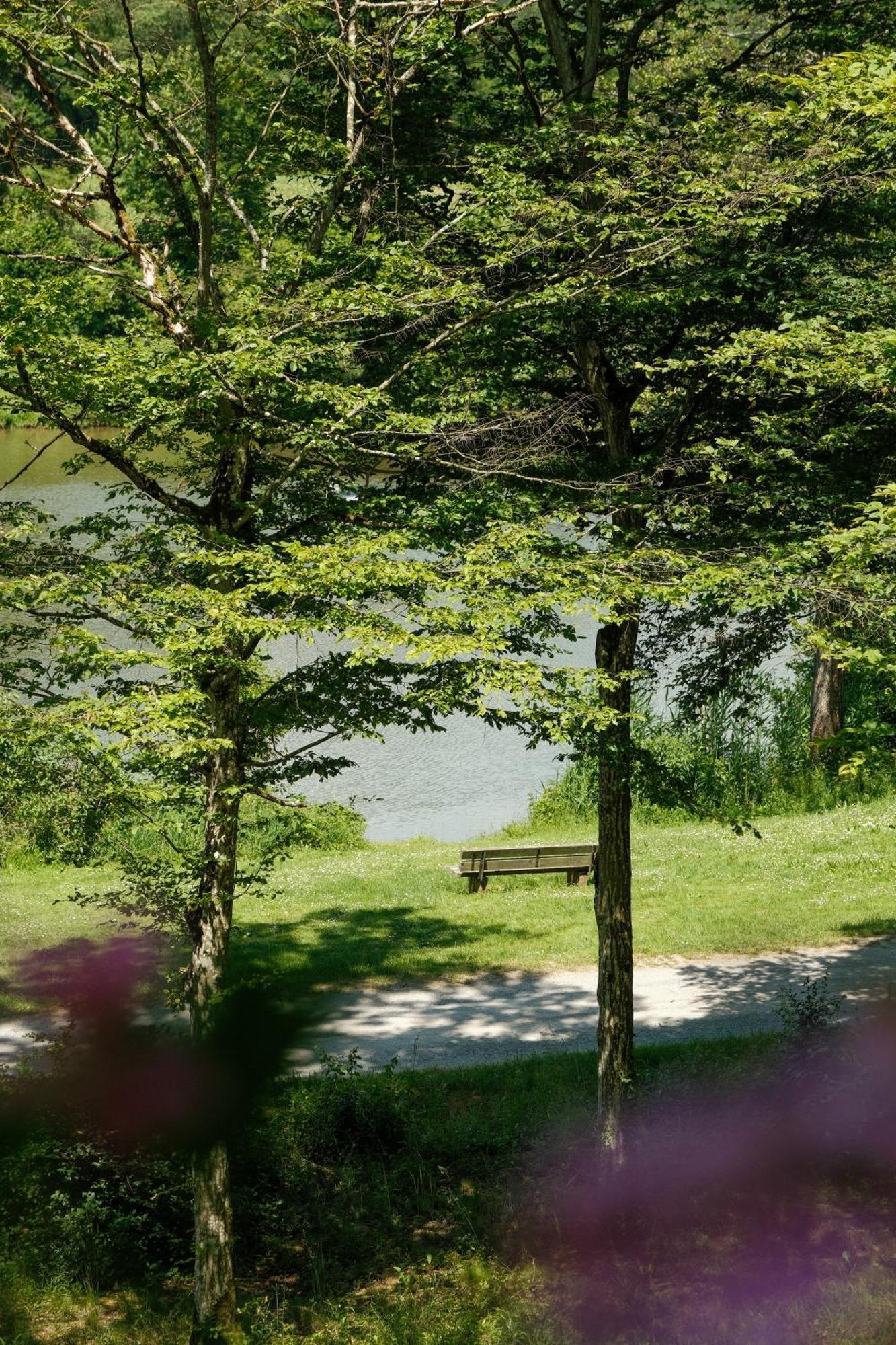 Hotel-Restaurant Kreuzberghof Tagungs- Und Veranstaltungshotel Tiefenbach  المظهر الخارجي الصورة